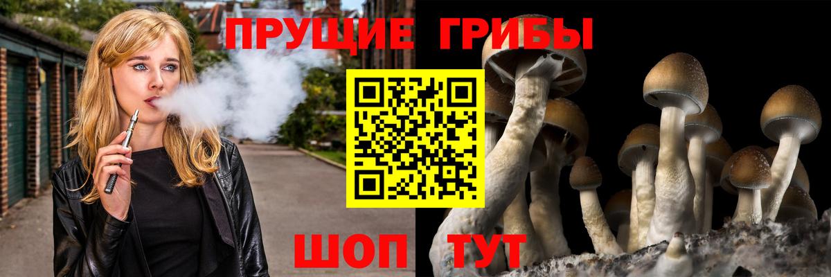 Южноуральск  Галлюциногенные грибы MAGIC MUSHROOMS  где найти наркотики  Вход с VPN 